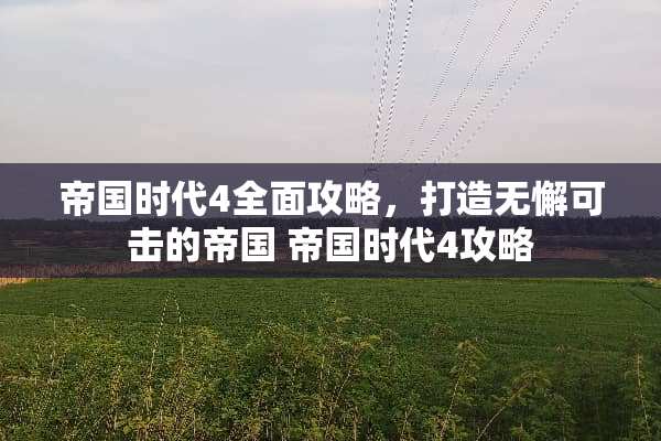 帝国时代4全面攻略，打造无懈可击的帝国 帝国时代4攻略