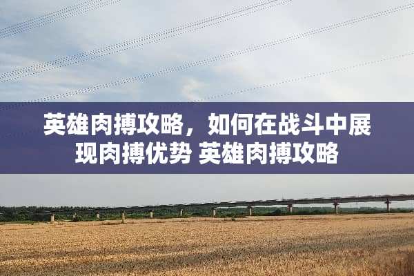 英雄肉搏攻略，如何在战斗中展现肉搏优势 英雄肉搏攻略