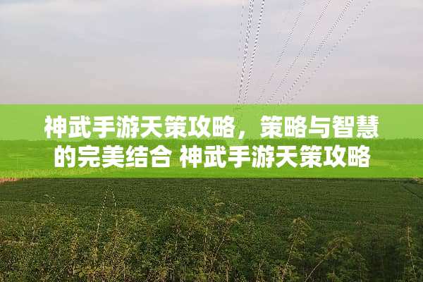 神武手游天策攻略,策略与智慧的完美结合 神武手游天策攻略 神武手游天策攻略,策略与智慧的完美结合 神武手游天策攻略