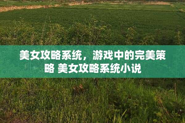 **攻略系统，游戏中的完美策略**攻略系统小说