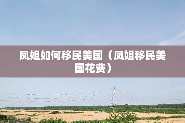 凤姐如何移民美国(凤姐移民美国花费) 凤姐如何移民美国(凤姐移民美国花费)