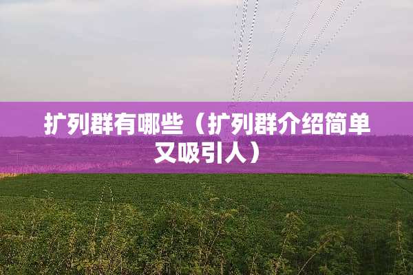 扩列群有哪些（扩列群介绍简单又吸引人）
