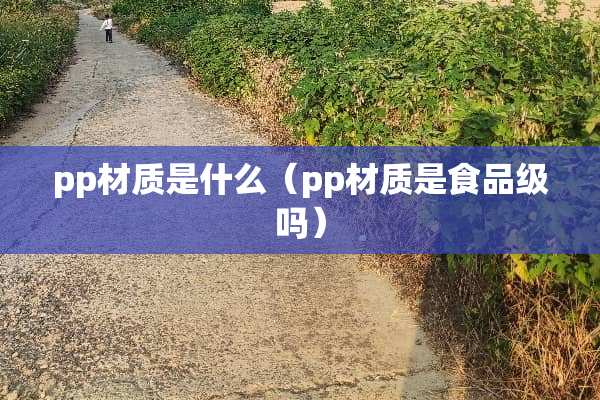 pp材质是什么(pp材质是食品级吗) pp材质是什么(pp材质是食品级吗)