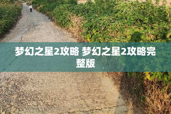 梦幻之星2攻略 梦幻之星2攻略完整版