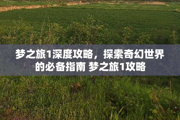 梦之旅1深度攻略，探索奇幻世界的必备指南 梦之旅1攻略