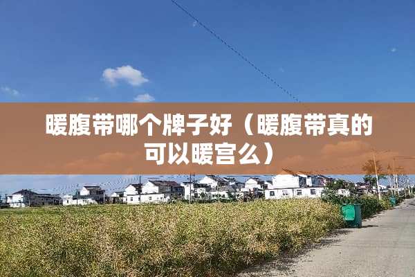 暖腹带哪个牌子好（暖腹带真的可以暖宫么）