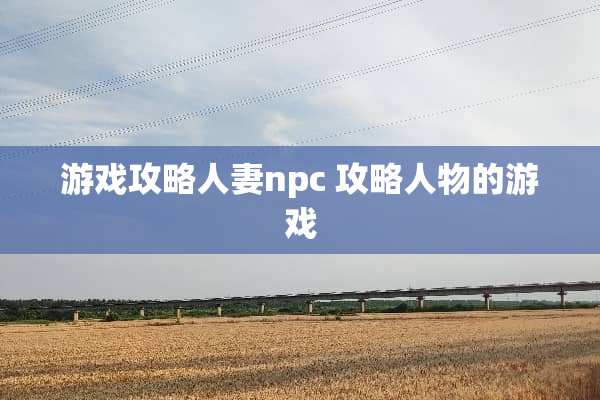 游戏攻略**npc 攻略人物的游戏