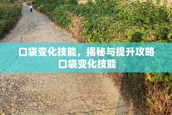 口袋变化技能，揭秘与提升攻略 口袋变化技能