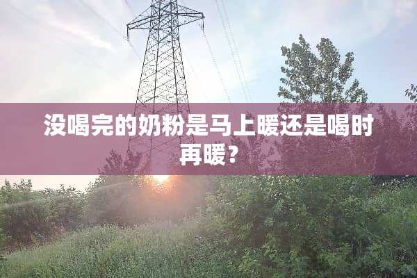 没喝完的奶粉是马上暖还是喝时再暖？