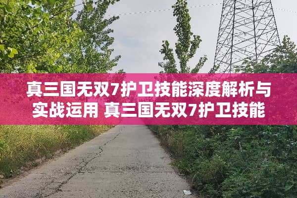 真三国无双7护卫技能深度解析与实战运用 真三国无双7护卫技能