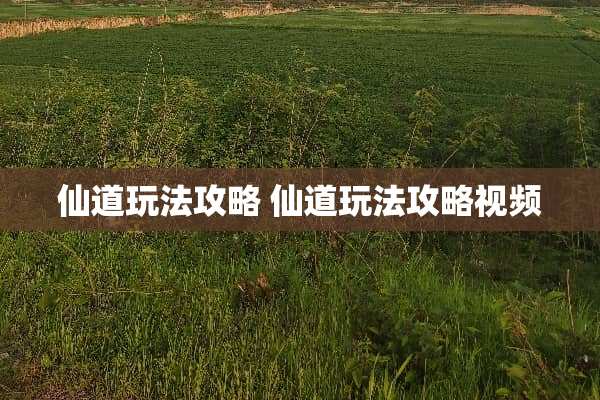 仙道玩法攻略 仙道玩法攻略视频