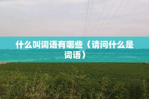 什么叫词语有哪些（请问什么是词语）