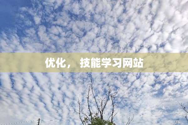 优化， 技能学习网站