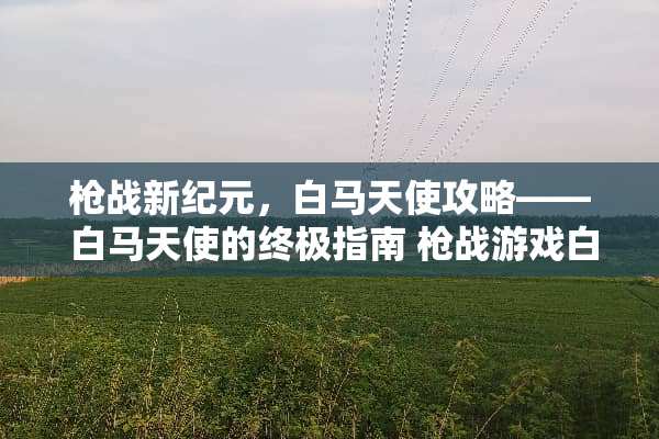 *战新纪元，白马天使攻略—— 白马天使的终极指南*战游戏白马天使攻略