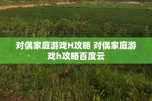 对偶家庭游戏H攻略 对偶家庭游戏h攻略百度云