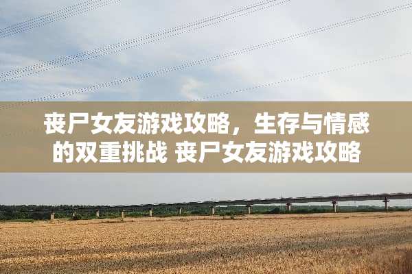 丧尸女友游戏攻略，生存与情感的双重挑战 丧尸女友游戏攻略