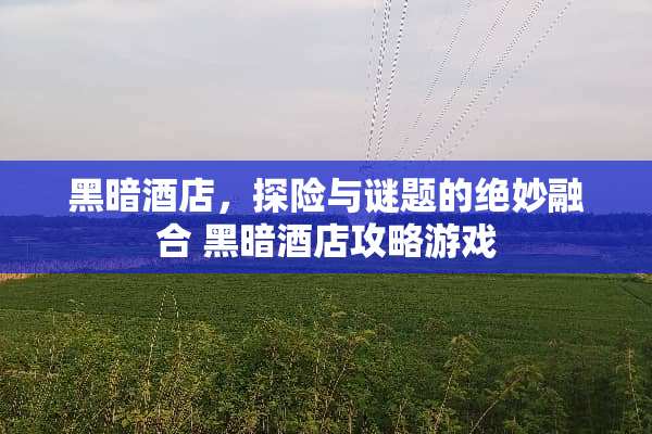 黑暗酒店，探险与谜题的绝妙融合 黑暗酒店攻略游戏