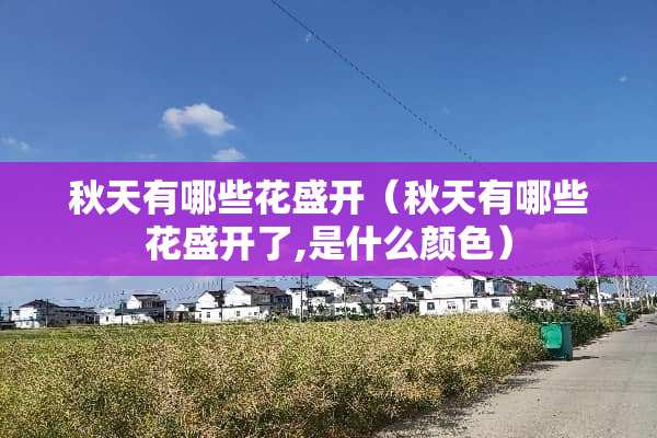 秋天有哪些花盛开（秋天有哪些花盛开了,是什么颜色）
