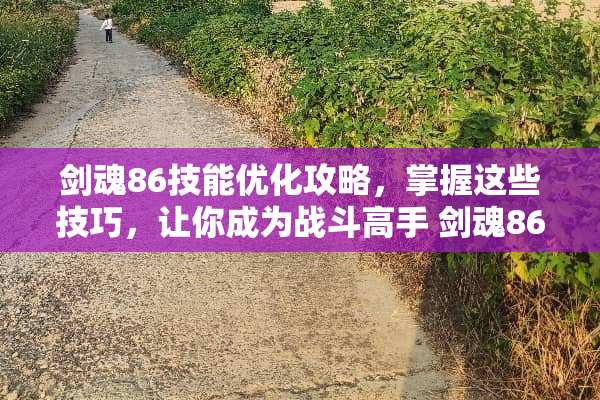 剑魂86技能优化攻略，掌握这些技巧，让你成为战斗高手 剑魂86技能