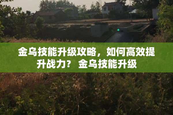 金乌技能升级攻略，如何高效提升战力？ 金乌技能升级