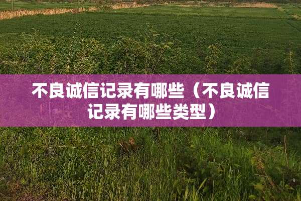 **诚信记录有哪些（**诚信记录有哪些类型）