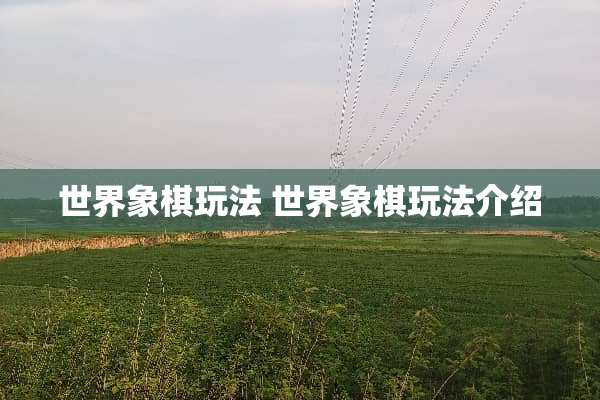 世界象棋玩法 世界象棋玩法介绍