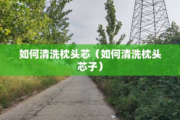 如何清洗枕头芯（如何清洗枕头芯子）