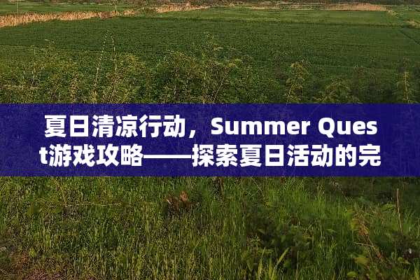 夏日清凉行动，Summer Quest游戏攻略——探索夏日活动的完美指南 summer游戏攻略