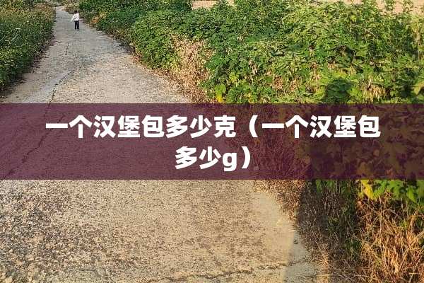 一个汉堡包多少克（一个汉堡包多少g）