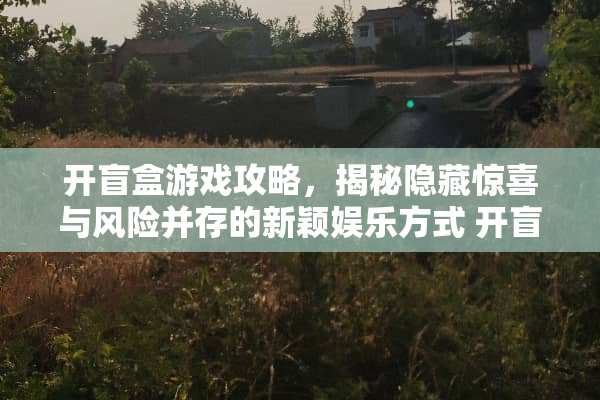 开盲盒游戏攻略，揭秘隐藏惊喜与风险并存的新颖娱乐方式 开盲盒游戏攻略