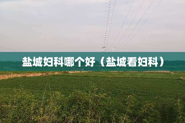 盐城妇科哪个好（盐城看妇科）