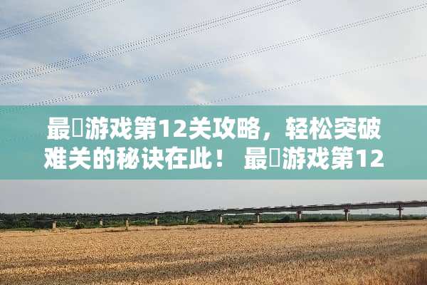 最囧游戏第12关攻略，轻松突破难关的秘诀在此！ 最囧游戏第12关攻略