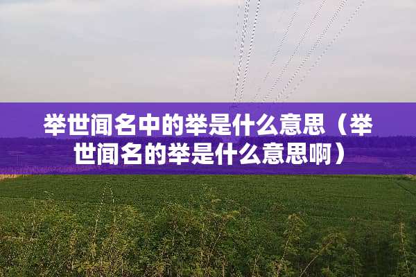 举世闻名中的举是什么意思（举世闻名的举是什么意思啊）