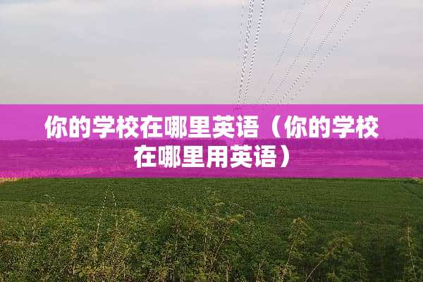 你的学校在哪里英语（你的学校在哪里用英语）