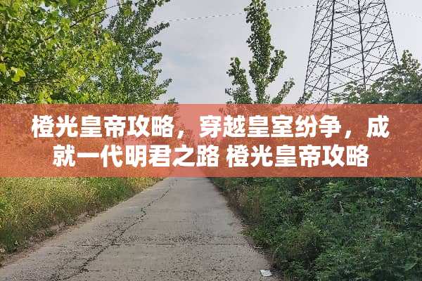 橙光皇帝攻略，穿越皇室纷争，成就一代明君之路 橙光皇帝攻略