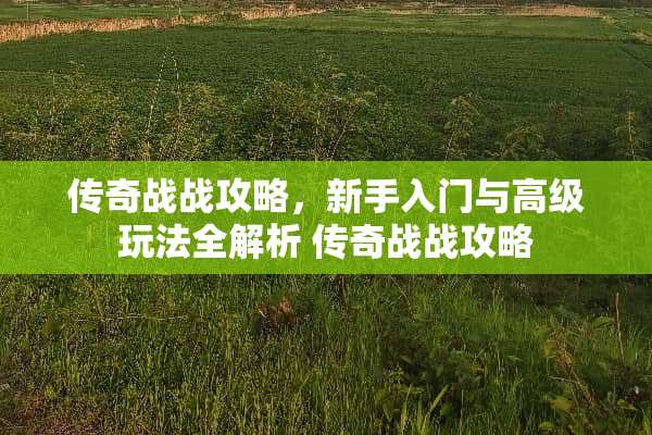 传奇战战攻略，新手入门与高级玩法全解析 传奇战战攻略