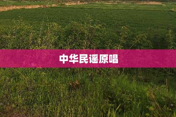 中华民谣原唱