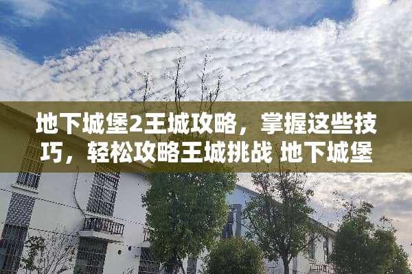 地下城堡2王城攻略，掌握这些技巧，轻松攻略王城挑战 地下城堡2王城攻略