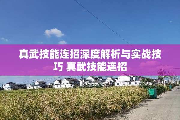 真武技能连招深度解析与实战技巧 真武技能连招