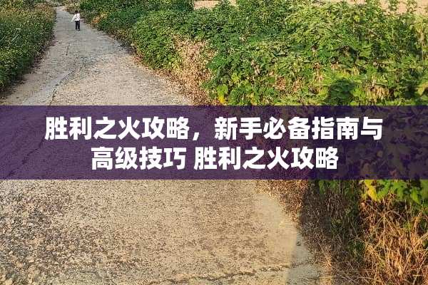 胜利之火攻略，新手必备指南与高级技巧 胜利之火攻略