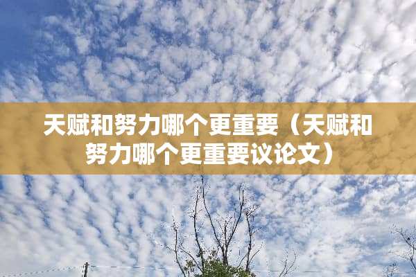 天赋和努力哪个更重要（天赋和努力哪个更重要议论文）