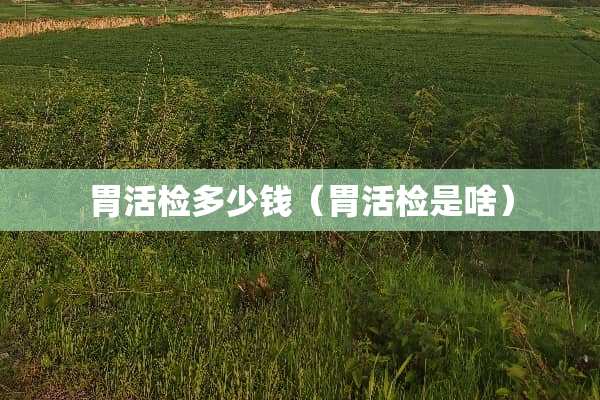 胃活检多少钱（胃活检是啥）