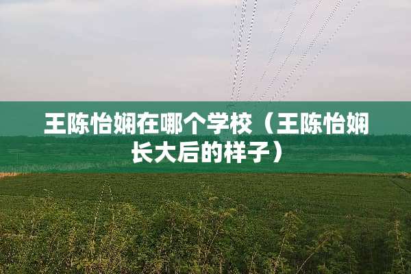 王陈怡娴在哪个学校（王陈怡娴长大后的样子）
