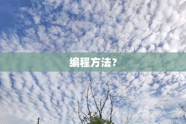 编程方法？
