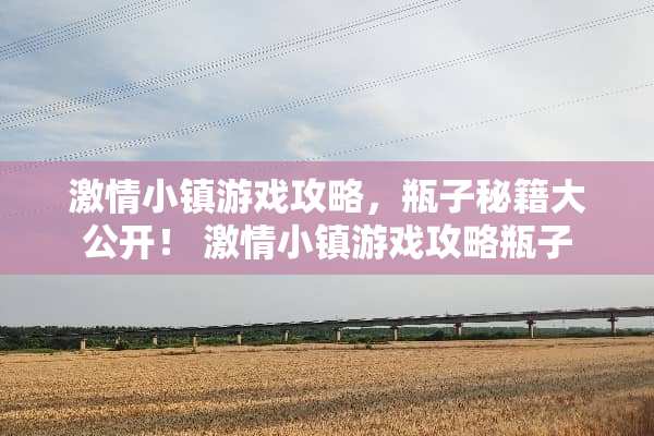 **小镇游戏攻略，瓶子秘籍大公开！**小镇游戏攻略瓶子