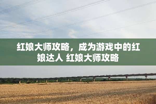 红娘大师攻略，成为游戏中的红娘达人 红娘大师攻略