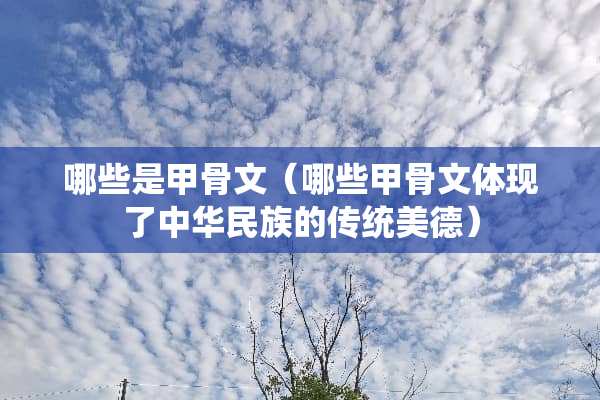 哪些是甲骨文（哪些甲骨文体现了中华民族的传统美德）