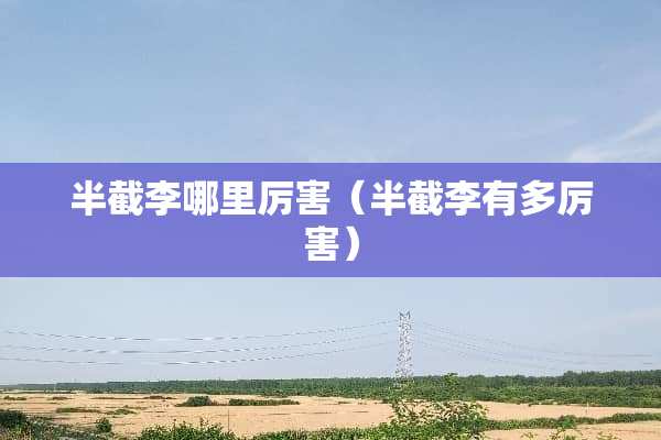 半截李哪里厉害（半截李有多厉害）