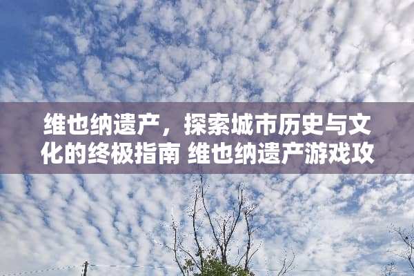 维也纳遗产，探索城市历史与文化的终极指南 维也纳遗产游戏攻略