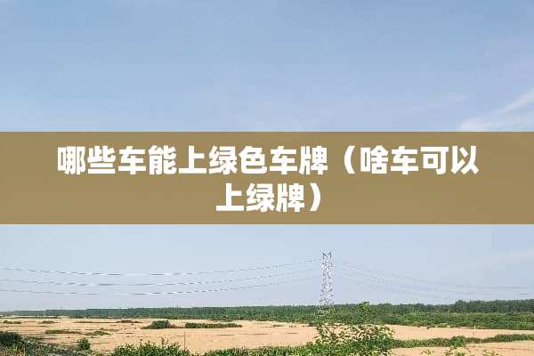 哪些车能上绿色车牌（啥车可以上绿牌）